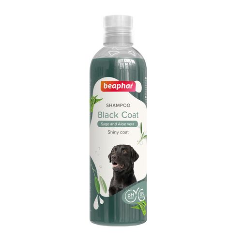 Schampo Svart - 250 ML