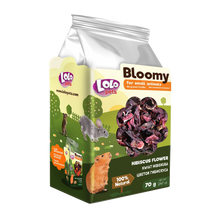 Bloomy Hibiscusblomma Gnagare - 70 G | Endast 89 kr! - Zoogiganten