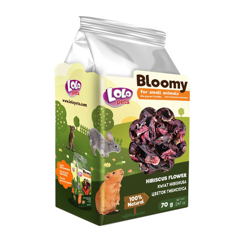 Bloomy Hibiscusblomma Gnagare - 70 G | Endast 89 kr! - Zoogiganten