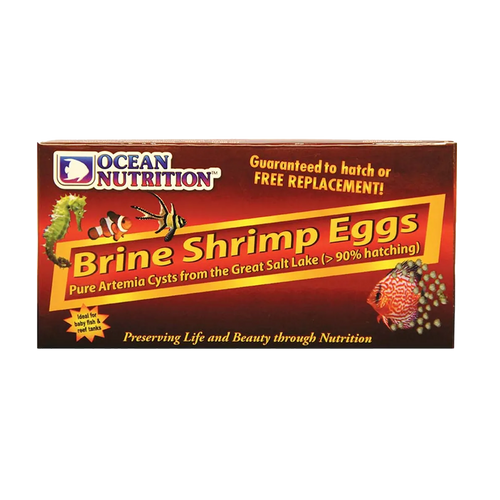 Artemia Brine Shrimp Ägg - 20 G | Endast 189 kr! - Zoogiganten