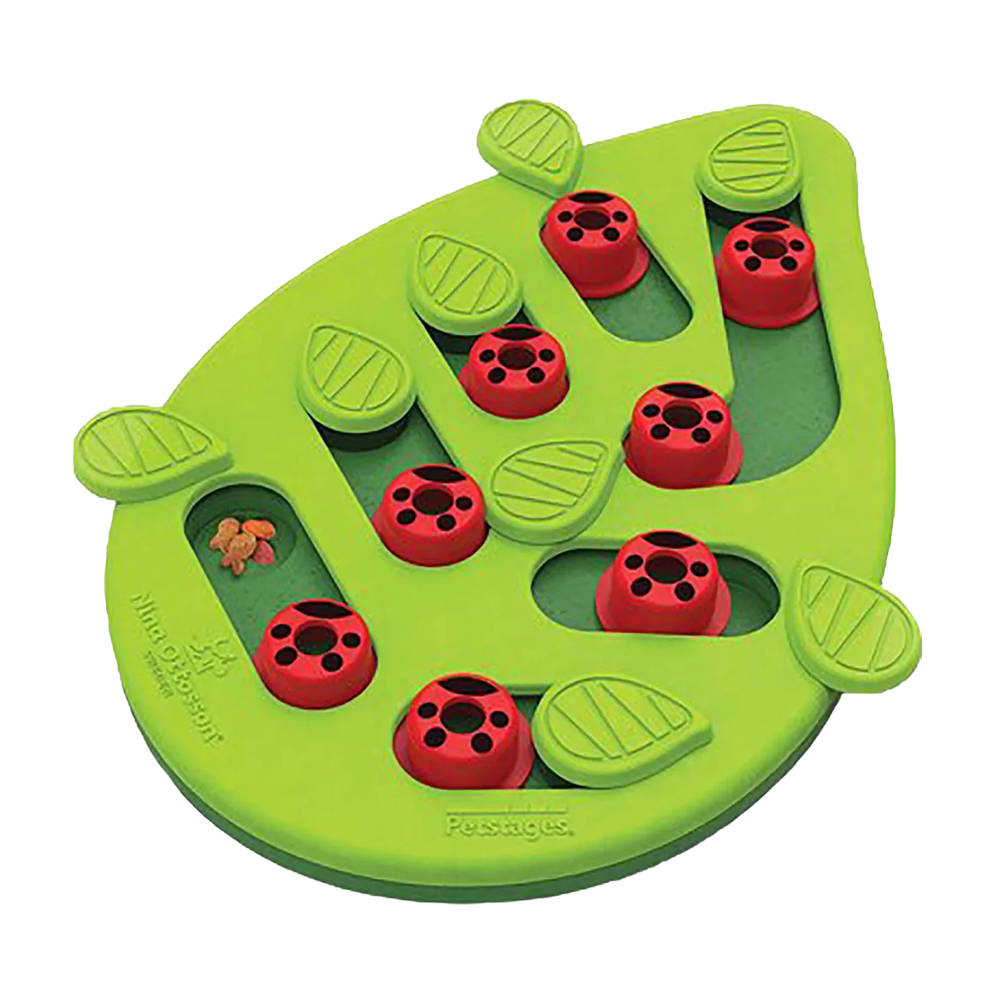 Petstages Cat Puzzle & Play Buggin Out