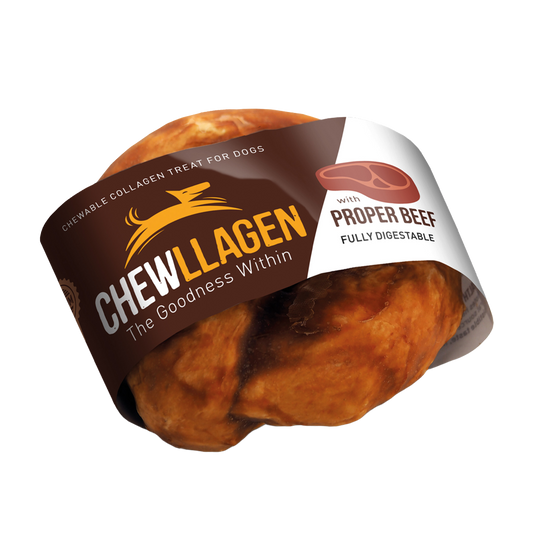 Chewllagen Tuggring Nöt