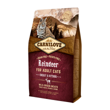 Carnilove Reindeer Adult Engery Outdoor | Endast 329 kr! - Zoogiganten