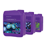 Component 1+2+3+ 3X 5L