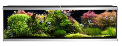 Akvastabil Move Akvarium Svart -720 L