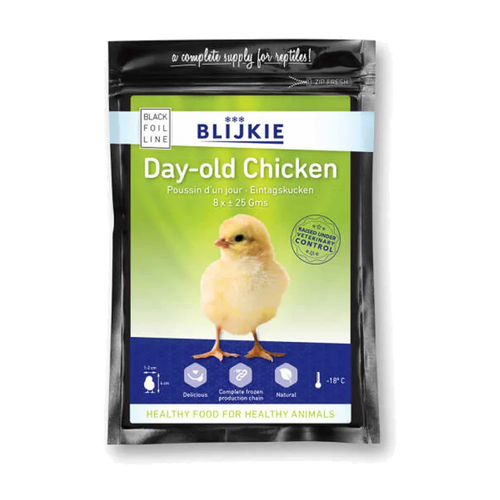 Day-Old Chicken 25 G - 8 Pack | Endast 89 kr! - Zoogiganten