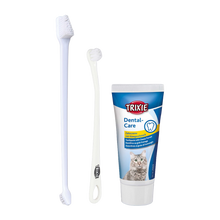 Tandvårdsset Katt M Tandkräm 2 Tandborstar