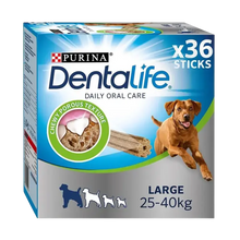 Dentalife Large 4 ST - 142 G