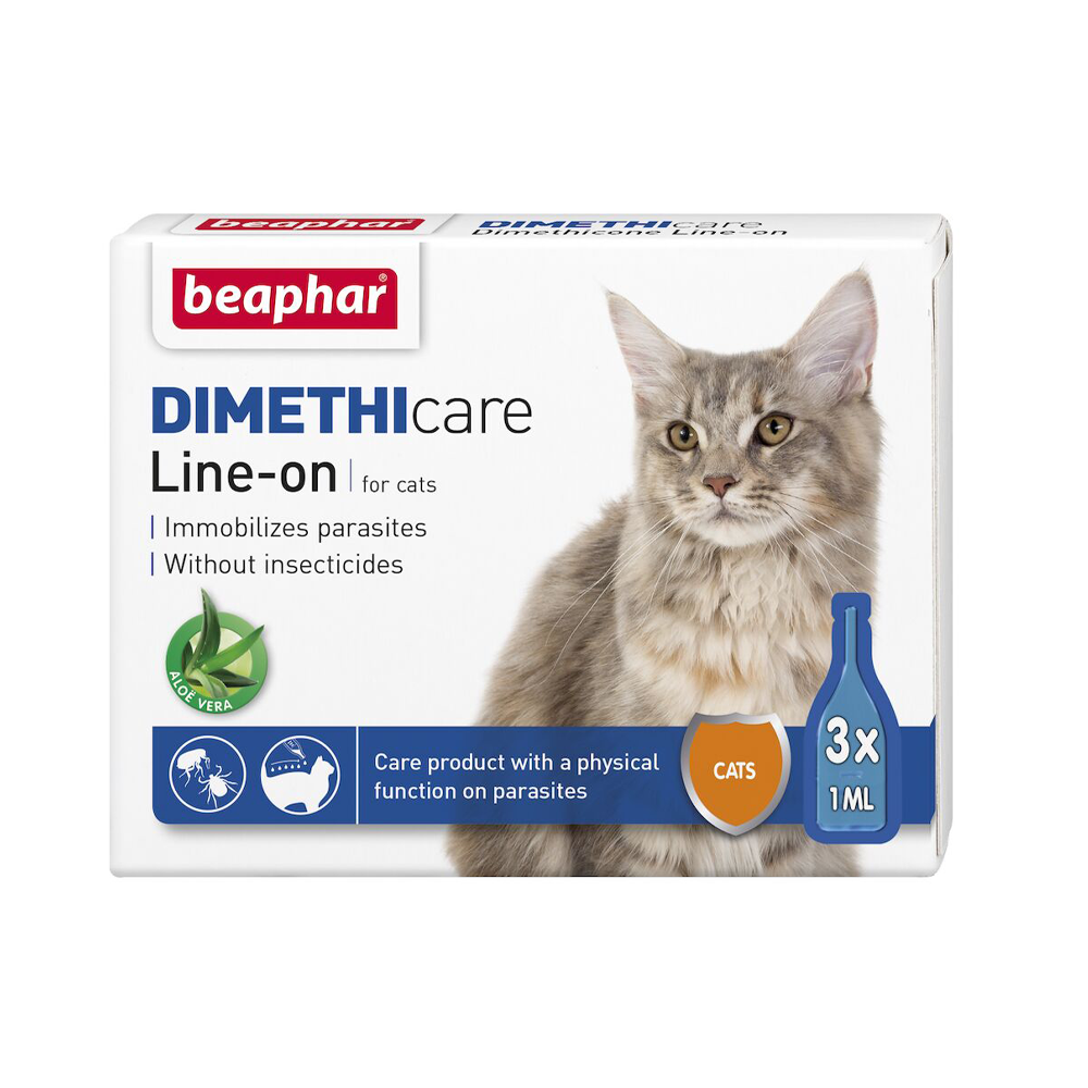 Dimethicare Line-on Katt