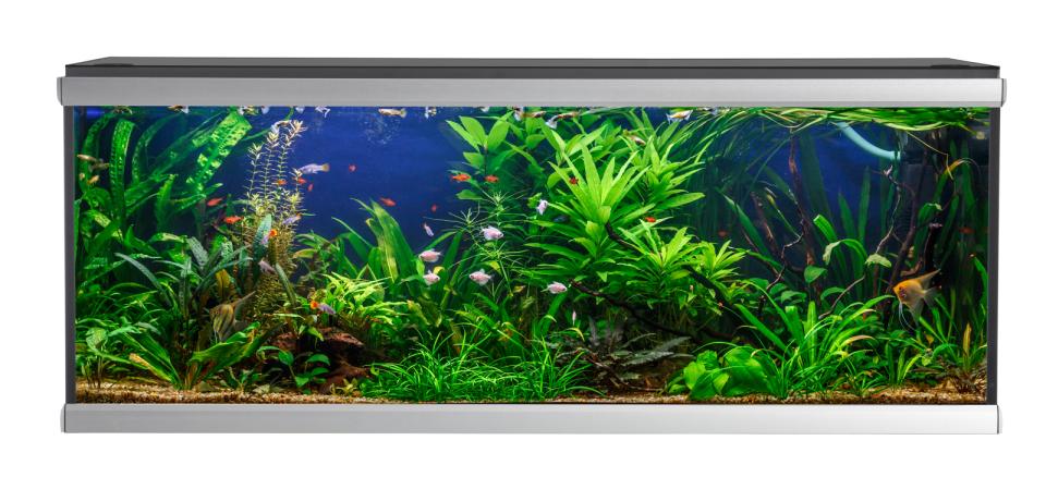 Akvastabil Move Akvarium - 576 L