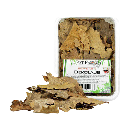 Eklöv Terrarium - 1 L | Endast 89 kr! - Zoogiganten