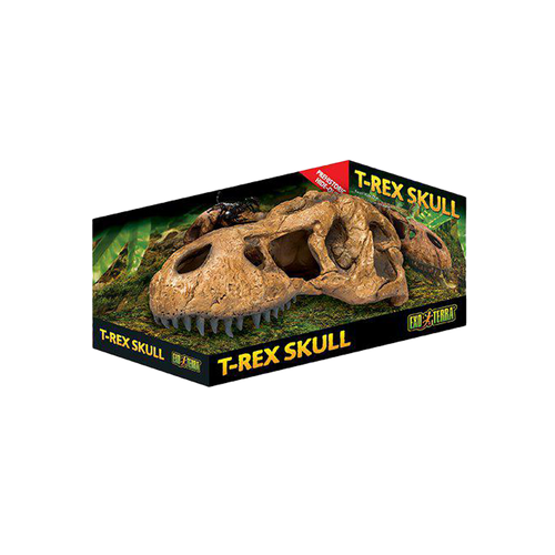 Exoterra T-rex Kranium | Endast 269 kr! - Zoogiganten