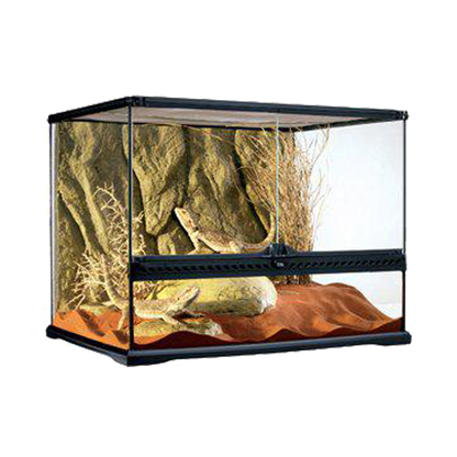Exoterra Terrarium M Wide - 60X45X45 CM | Endast 2899 kr! - Zoogiganten