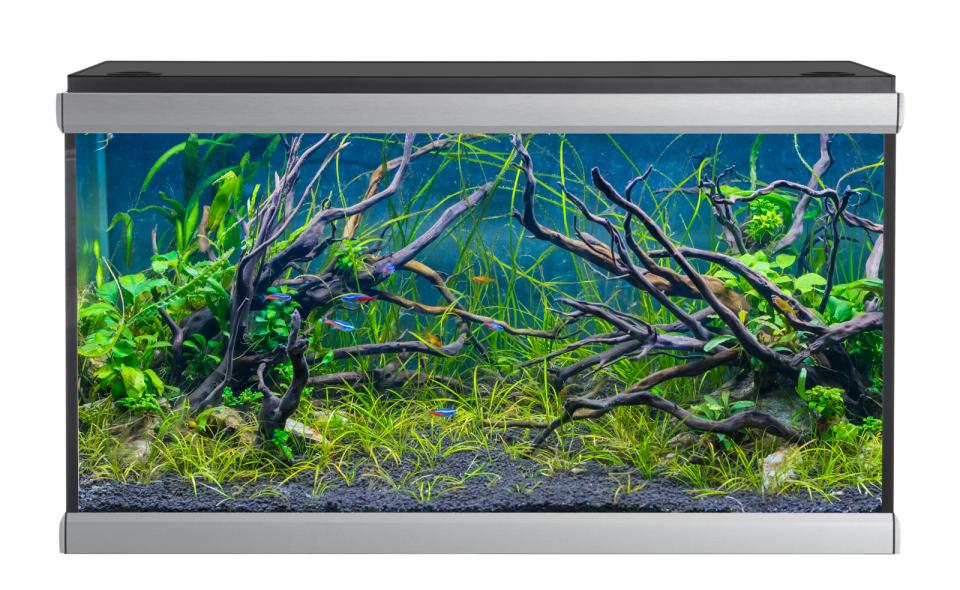 Akvastabil Move Akvarium - 275 L