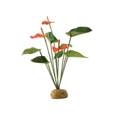 Flamingo Regnsskogsväxt - 20X15X28 CM | Endast 139 kr! - Zoogiganten