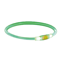 Flashring USB Grön