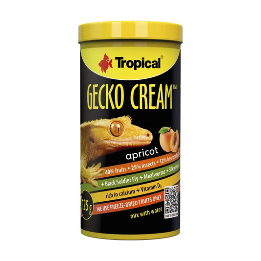 Tropical Gecko Cream Aprikos - 100 ML | Endast 259 kr! - Zoogiganten