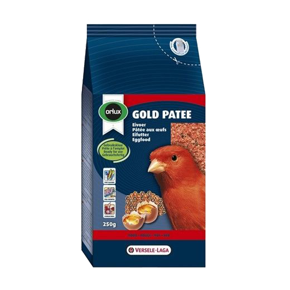 Gold Patee Röd | Endast 79 kr! - Zoogiganten