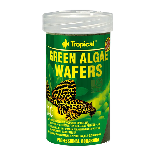 Tropical Alger Wafers | Endast 89 kr! - Zoogiganten