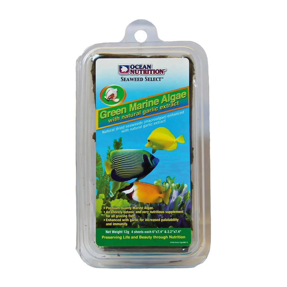 Green Marine Alger/Sjögräs - 12 G | Endast 79 kr! - Zoogiganten