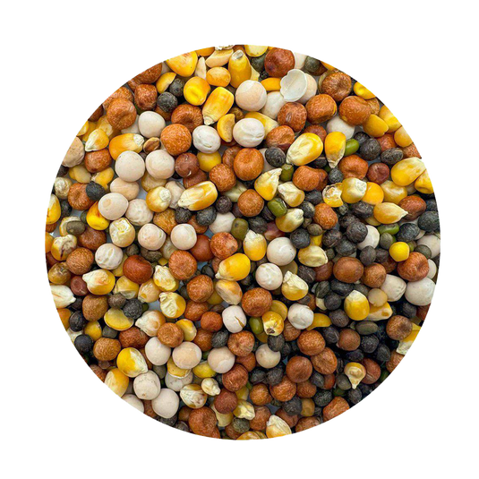 Bello Groddblandning - 5 KG | Endast 189 kr! - Zoogiganten