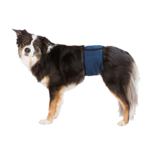 Hanhundsskydd Mörkblå