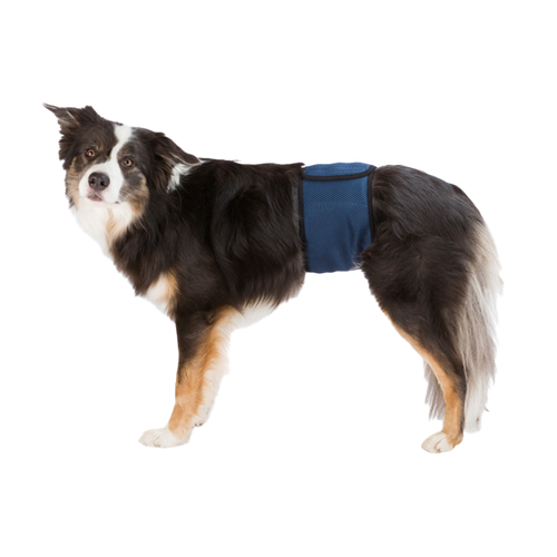 Hanhundsskydd Mörkblå