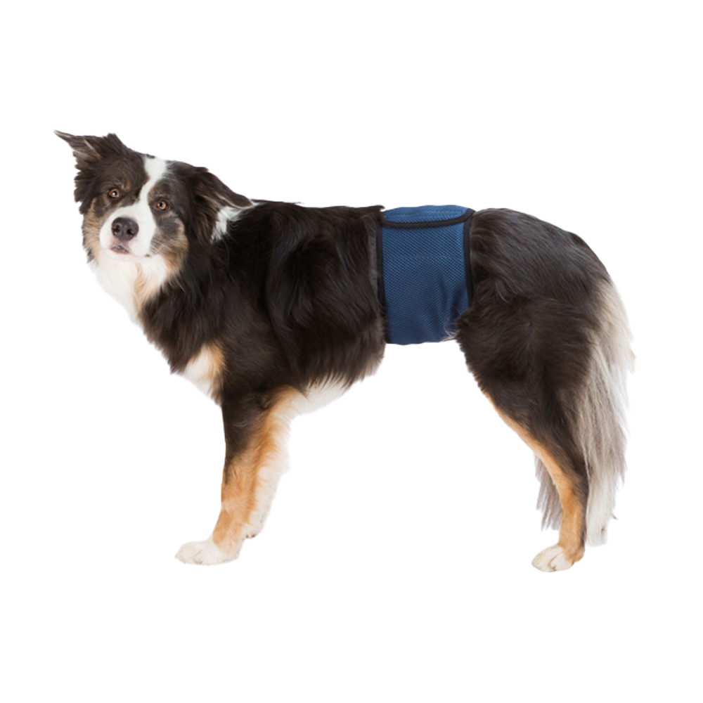 Hanhundsskydd Mörkblå