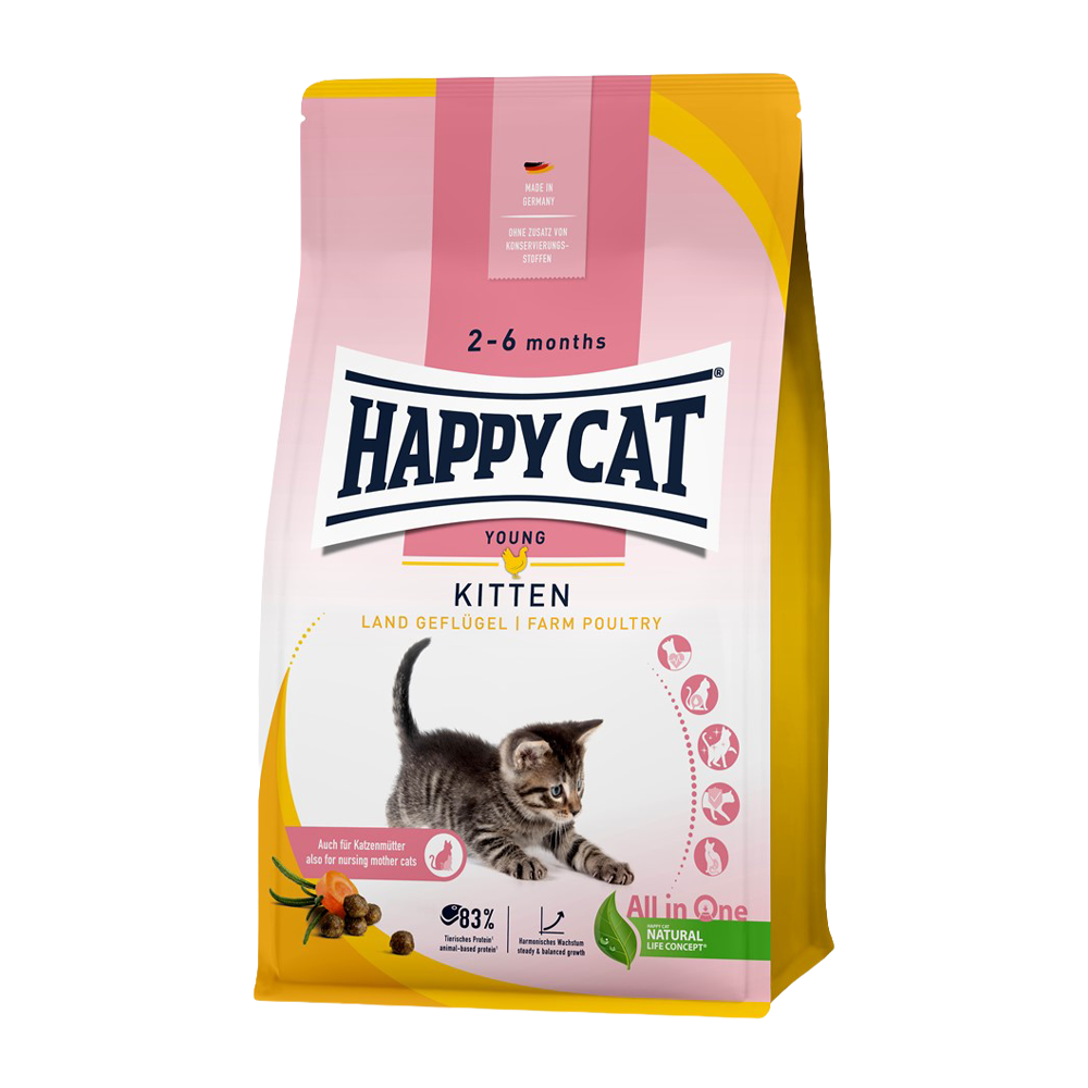 Happy Cat Kitten Fågel