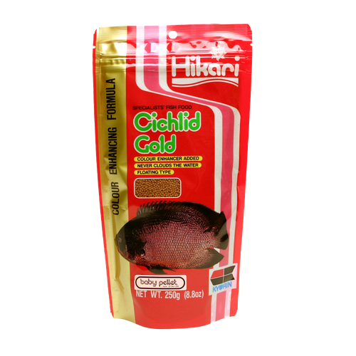 Hikari Ciklid Gold Färg Baby - 250 G | Endast 159 kr! - Zoogiganten