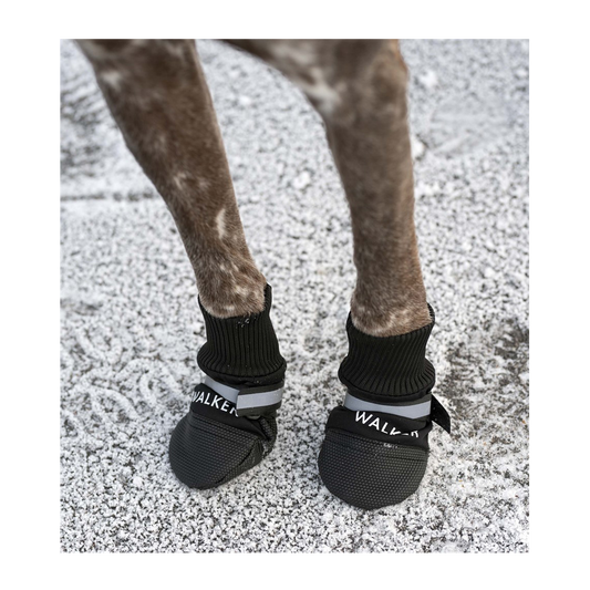 Hundskor Walker Comfort 2-Pack Svart