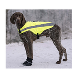 Hundskor Walker Comfort 2-Pack Svart