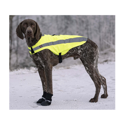 Hundskor Walker Comfort 2-Pack Svart