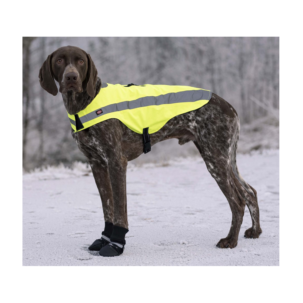 Hundskor Walker Comfort 2-Pack Svart