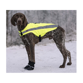 Hundskor Walker Comfort 2-Pack Svart