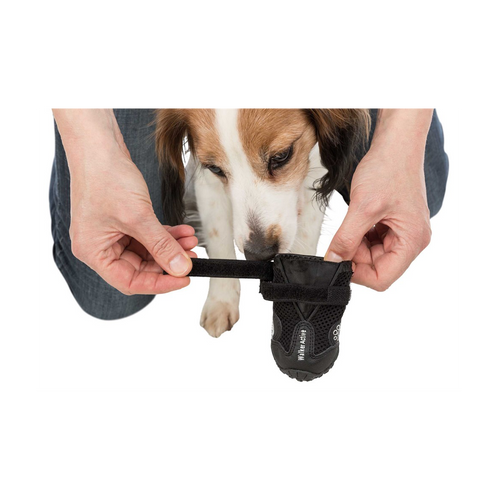 Hundskor Walker Active 2-Pack Svart