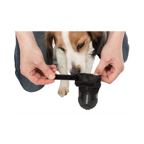 Hundskor Walker Active 2-Pack Svart