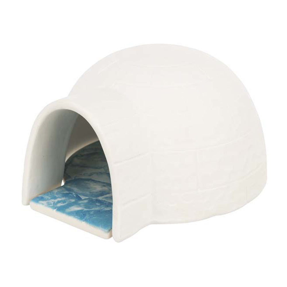 Igloo kylplatta - Möss/Hamster | Endast 159 kr! - Zoogiganten