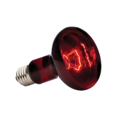 Exoterra Infrared Basking Spot R25 E27 - Röd | Endast 189 kr! - Zoogiganten