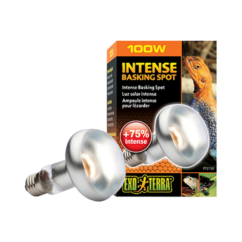 Exoterra Intense Basking Spot S25 E27 Orange - 100W | Endast 119 kr! - Zoogiganten