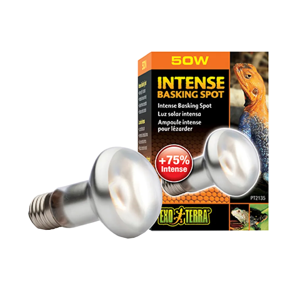 Exoterra Intense Basking Spot S20 - E27 | Endast 89 kr! - Zoogiganten