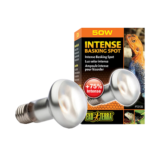 Exoterra Intense Basking Spot S20 - E27 | Endast 89 kr! - Zoogiganten