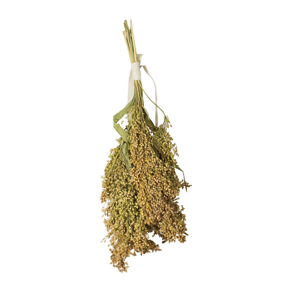 JR Farm Vipphirs - 100 G | Endast 139 kr! - Zoogiganten