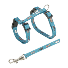 Junior Kattsele+koppel 21 - 33 CM