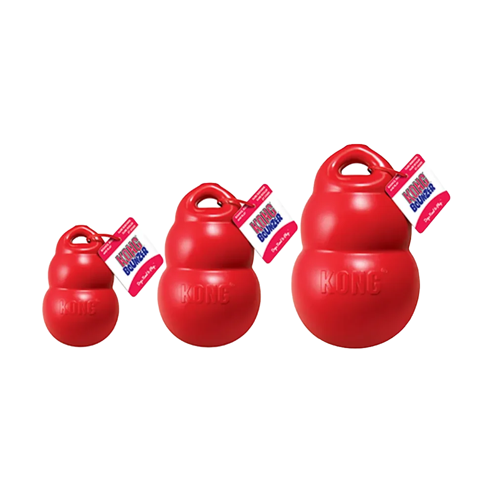 Kong Bounzer - L