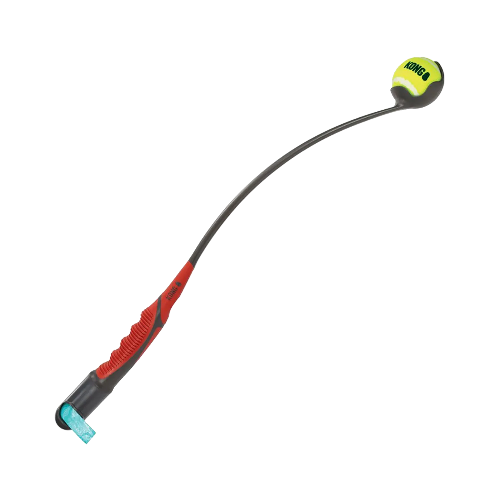 Kong Handipod Launch