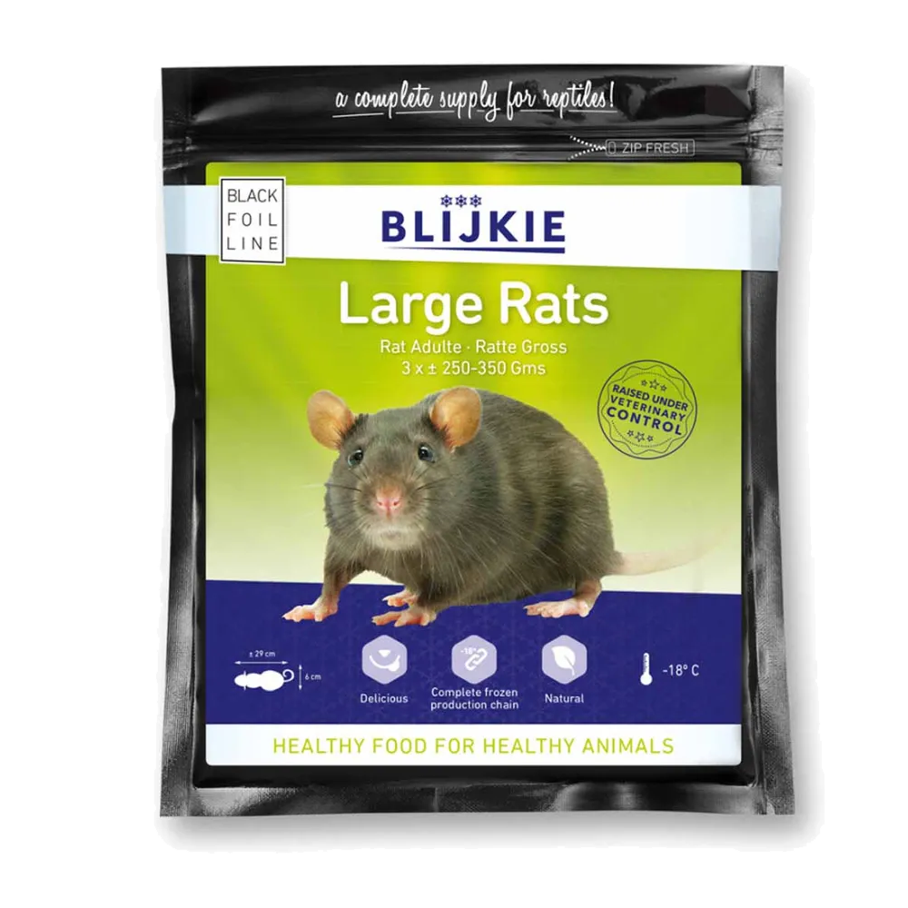 Large Rat 250-350 G - 3 Pack | Endast 289 kr! - Zoogiganten