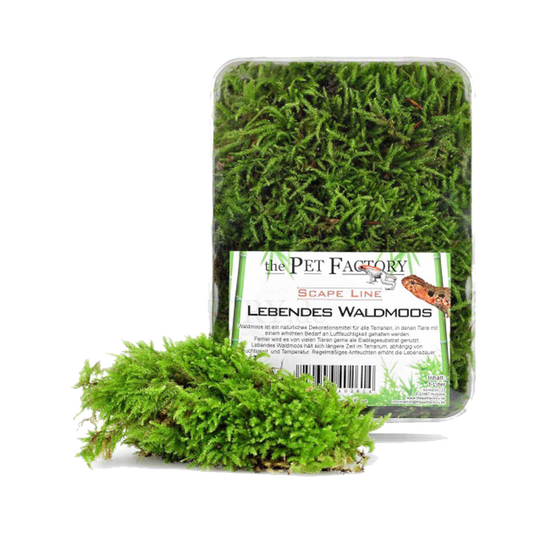 Levande Mossa - 1 L | Endast 99 kr! - Zoogiganten