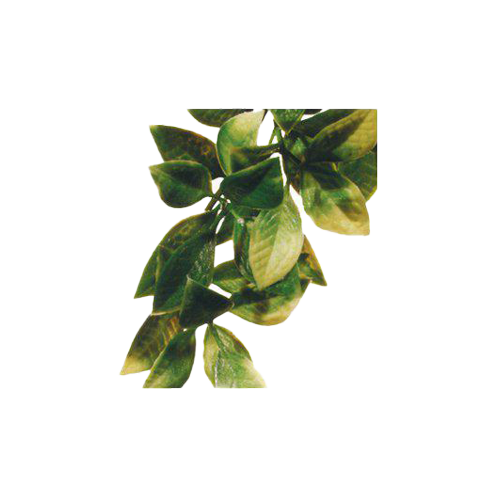 Mandarin Plastväxt - Small | Endast 69 kr! - Zoogiganten