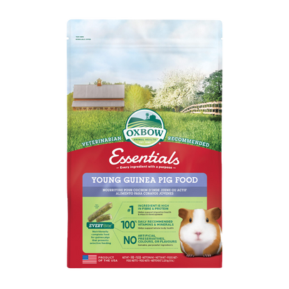 Marsvinspellets unga marsvin - 2.25 KG | Endast 339 kr! - Zoogiganten
